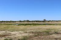 Etosha Nationalpark
