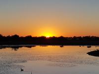 Tage Rundreise Namibia – Die Erlebnistour mit  Kalahari – Fish River-Canyon – Lüderitz – Namib – Swakopmund – Erongo Gebirge – Etosha Nationalpark – Windhoek (6)