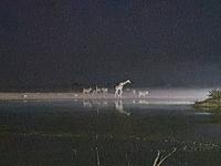 Tage Rundreise Namibia – Die Erlebnistour mit  Kalahari – Fish River-Canyon – Lüderitz – Namib – Swakopmund – Erongo Gebirge – Etosha Nationalpark – Windhoek (10)