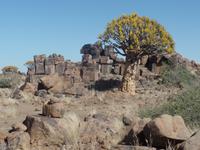 Tage Rundreise Namibia – Die Erlebnistour mit  Kalahari – Fish River-Canyon – Lüderitz – Namib – Swakopmund – Erongo Gebirge – Etosha Nationalpark – Windhoek (25)