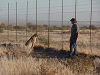 Tage Rundreise Namibia – Die Erlebnistour mit  Kalahari – Fish River-Canyon – Lüderitz – Namib – Swakopmund – Erongo Gebirge – Etosha Nationalpark – Windhoek (40)