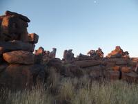 Tage Rundreise Namibia – Die Erlebnistour mit  Kalahari – Fish River-Canyon – Lüderitz – Namib – Swakopmund – Erongo Gebirge – Etosha Nationalpark – Windhoek (41)