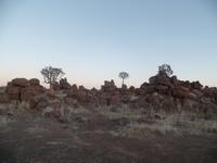 Tage Rundreise Namibia – Die Erlebnistour mit  Kalahari – Fish River-Canyon – Lüderitz – Namib – Swakopmund – Erongo Gebirge – Etosha Nationalpark – Windhoek (44)