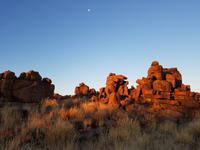 Tage Rundreise Namibia – Die Erlebnistour mit  Kalahari – Fish River-Canyon – Lüderitz – Namib – Swakopmund – Erongo Gebirge – Etosha Nationalpark – Windhoek (51)