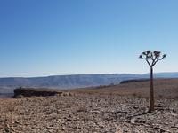Tage Rundreise Namibia – Die Erlebnistour mit  Kalahari – Fish River-Canyon – Lüderitz – Namib – Swakopmund – Erongo Gebirge – Etosha Nationalpark – Windhoek (82)