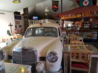 Tage Rundreise Namibia – Die Erlebnistour mit  Kalahari – Fish River-Canyon – Lüderitz – Namib – Swakopmund – Erongo Gebirge – Etosha Nationalpark – Windhoek (86)