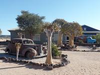 Tage Rundreise Namibia – Die Erlebnistour mit  Kalahari – Fish River-Canyon – Lüderitz – Namib – Swakopmund – Erongo Gebirge – Etosha Nationalpark – Windhoek (89)