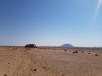 Tage Rundreise Namibia – Die Erlebnistour mit  Kalahari – Fish River-Canyon – Lüderitz – Namib – Swakopmund – Erongo Gebirge – Etosha Nationalpark – Windhoek (113)