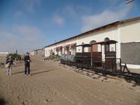 Tage Rundreise Namibia – Die Erlebnistour mit  Kalahari – Fish River-Canyon – Lüderitz – Namib – Swakopmund – Erongo Gebirge – Etosha Nationalpark – Windhoek (149)