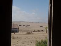 Tage Rundreise Namibia – Die Erlebnistour mit  Kalahari – Fish River-Canyon – Lüderitz – Namib – Swakopmund – Erongo Gebirge – Etosha Nationalpark – Windhoek (175)