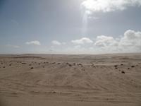 Tage Rundreise Namibia – Die Erlebnistour mit  Kalahari – Fish River-Canyon – Lüderitz – Namib – Swakopmund – Erongo Gebirge – Etosha Nationalpark – Windhoek (182)