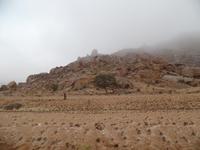 Tage Rundreise Namibia – Die Erlebnistour mit  Kalahari – Fish River-Canyon – Lüderitz – Namib – Swakopmund – Erongo Gebirge – Etosha Nationalpark – Windhoek (196)