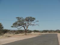 Tage Rundreise Namibia – Die Erlebnistour mit  Kalahari – Fish River-Canyon – Lüderitz – Namib – Swakopmund – Erongo Gebirge – Etosha Nationalpark – Windhoek (199)