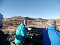 Tage Rundreise Namibia – Die Erlebnistour mit  Kalahari – Fish River-Canyon – Lüderitz – Namib – Swakopmund – Erongo Gebirge – Etosha Nationalpark – Windhoek (216)