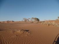 Tage Rundreise Namibia – Die Erlebnistour mit  Kalahari – Fish River-Canyon – Lüderitz – Namib – Swakopmund – Erongo Gebirge – Etosha Nationalpark – Windhoek (244)