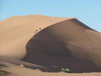 Tage Rundreise Namibia – Die Erlebnistour mit  Kalahari – Fish River-Canyon – Lüderitz – Namib – Swakopmund – Erongo Gebirge – Etosha Nationalpark – Windhoek (254)