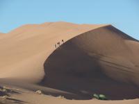 Tage Rundreise Namibia – Die Erlebnistour mit  Kalahari – Fish River-Canyon – Lüderitz – Namib – Swakopmund – Erongo Gebirge – Etosha Nationalpark – Windhoek (255)