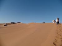 Tage Rundreise Namibia – Die Erlebnistour mit  Kalahari – Fish River-Canyon – Lüderitz – Namib – Swakopmund – Erongo Gebirge – Etosha Nationalpark – Windhoek (263)