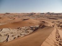 Tage Rundreise Namibia – Die Erlebnistour mit  Kalahari – Fish River-Canyon – Lüderitz – Namib – Swakopmund – Erongo Gebirge – Etosha Nationalpark – Windhoek (264)