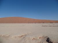 Tage Rundreise Namibia – Die Erlebnistour mit  Kalahari – Fish River-Canyon – Lüderitz – Namib – Swakopmund – Erongo Gebirge – Etosha Nationalpark – Windhoek (271)