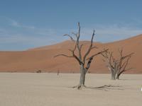 Tage Rundreise Namibia – Die Erlebnistour mit  Kalahari – Fish River-Canyon – Lüderitz – Namib – Swakopmund – Erongo Gebirge – Etosha Nationalpark – Windhoek (272)