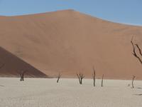 Tage Rundreise Namibia – Die Erlebnistour mit  Kalahari – Fish River-Canyon – Lüderitz – Namib – Swakopmund – Erongo Gebirge – Etosha Nationalpark – Windhoek (273)