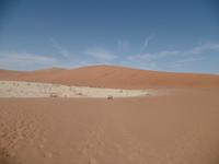 Tage Rundreise Namibia – Die Erlebnistour mit  Kalahari – Fish River-Canyon – Lüderitz – Namib – Swakopmund – Erongo Gebirge – Etosha Nationalpark – Windhoek (278)