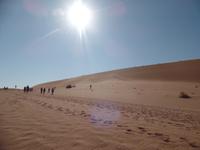 Tage Rundreise Namibia – Die Erlebnistour mit  Kalahari – Fish River-Canyon – Lüderitz – Namib – Swakopmund – Erongo Gebirge – Etosha Nationalpark – Windhoek (279)