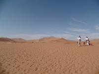 Tage Rundreise Namibia – Die Erlebnistour mit  Kalahari – Fish River-Canyon – Lüderitz – Namib – Swakopmund – Erongo Gebirge – Etosha Nationalpark – Windhoek (283)