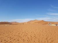 Tage Rundreise Namibia – Die Erlebnistour mit  Kalahari – Fish River-Canyon – Lüderitz – Namib – Swakopmund – Erongo Gebirge – Etosha Nationalpark – Windhoek (286)