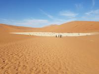 Tage Rundreise Namibia – Die Erlebnistour mit  Kalahari – Fish River-Canyon – Lüderitz – Namib – Swakopmund – Erongo Gebirge – Etosha Nationalpark – Windhoek (289)