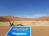 Tage Rundreise Namibia – Die Erlebnistour mit  Kalahari – Fish River-Canyon – Lüderitz – Namib – Swakopmund – Erongo Gebirge – Etosha Nationalpark – Windhoek (291)