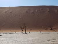 Tage Rundreise Namibia – Die Erlebnistour mit  Kalahari – Fish River-Canyon – Lüderitz – Namib – Swakopmund – Erongo Gebirge – Etosha Nationalpark – Windhoek (296)