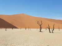 Tage Rundreise Namibia – Die Erlebnistour mit  Kalahari – Fish River-Canyon – Lüderitz – Namib – Swakopmund – Erongo Gebirge – Etosha Nationalpark – Windhoek (297)