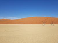 Tage Rundreise Namibia – Die Erlebnistour mit  Kalahari – Fish River-Canyon – Lüderitz – Namib – Swakopmund – Erongo Gebirge – Etosha Nationalpark – Windhoek (301)