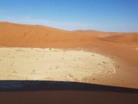 Tage Rundreise Namibia – Die Erlebnistour mit  Kalahari – Fish River-Canyon – Lüderitz – Namib – Swakopmund – Erongo Gebirge – Etosha Nationalpark – Windhoek (327)