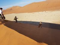 Tage Rundreise Namibia – Die Erlebnistour mit  Kalahari – Fish River-Canyon – Lüderitz – Namib – Swakopmund – Erongo Gebirge – Etosha Nationalpark – Windhoek (329)