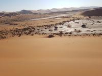 Tage Rundreise Namibia – Die Erlebnistour mit  Kalahari – Fish River-Canyon – Lüderitz – Namib – Swakopmund – Erongo Gebirge – Etosha Nationalpark – Windhoek (344)