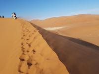 Tage Rundreise Namibia – Die Erlebnistour mit  Kalahari – Fish River-Canyon – Lüderitz – Namib – Swakopmund – Erongo Gebirge – Etosha Nationalpark – Windhoek (352)