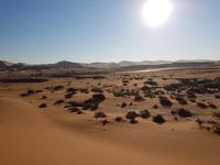 Tage Rundreise Namibia – Die Erlebnistour mit  Kalahari – Fish River-Canyon – Lüderitz – Namib – Swakopmund – Erongo Gebirge – Etosha Nationalpark – Windhoek (368)