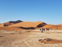 Tage Rundreise Namibia – Die Erlebnistour mit  Kalahari – Fish River-Canyon – Lüderitz – Namib – Swakopmund – Erongo Gebirge – Etosha Nationalpark – Windhoek (379)