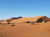 Tage Rundreise Namibia – Die Erlebnistour mit  Kalahari – Fish River-Canyon – Lüderitz – Namib – Swakopmund – Erongo Gebirge – Etosha Nationalpark – Windhoek (380)