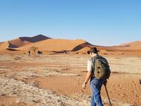 Tage Rundreise Namibia – Die Erlebnistour mit  Kalahari – Fish River-Canyon – Lüderitz – Namib – Swakopmund – Erongo Gebirge – Etosha Nationalpark – Windhoek (384)