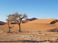 Tage Rundreise Namibia – Die Erlebnistour mit  Kalahari – Fish River-Canyon – Lüderitz – Namib – Swakopmund – Erongo Gebirge – Etosha Nationalpark – Windhoek (385)