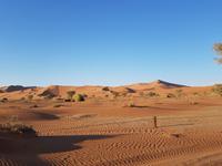 Tage Rundreise Namibia – Die Erlebnistour mit  Kalahari – Fish River-Canyon – Lüderitz – Namib – Swakopmund – Erongo Gebirge – Etosha Nationalpark – Windhoek (388)