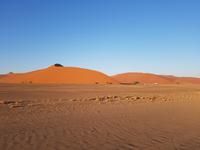 Tage Rundreise Namibia – Die Erlebnistour mit  Kalahari – Fish River-Canyon – Lüderitz – Namib – Swakopmund – Erongo Gebirge – Etosha Nationalpark – Windhoek (396)