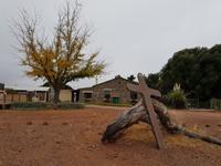 Tage Rundreise Namibia – Die Erlebnistour mit  Kalahari – Fish River-Canyon – Lüderitz – Namib – Swakopmund – Erongo Gebirge – Etosha Nationalpark – Windhoek (429)