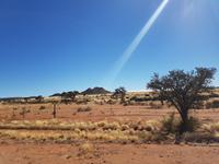 Tage Rundreise Namibia – Die Erlebnistour mit  Kalahari – Fish River-Canyon – Lüderitz – Namib – Swakopmund – Erongo Gebirge – Etosha Nationalpark – Windhoek (443)