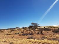 Tage Rundreise Namibia – Die Erlebnistour mit  Kalahari – Fish River-Canyon – Lüderitz – Namib – Swakopmund – Erongo Gebirge – Etosha Nationalpark – Windhoek (445)