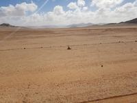 Tage Rundreise Namibia – Die Erlebnistour mit  Kalahari – Fish River-Canyon – Lüderitz – Namib – Swakopmund – Erongo Gebirge – Etosha Nationalpark – Windhoek (448)